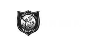 Engea